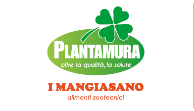 Plantamura Carlo srl